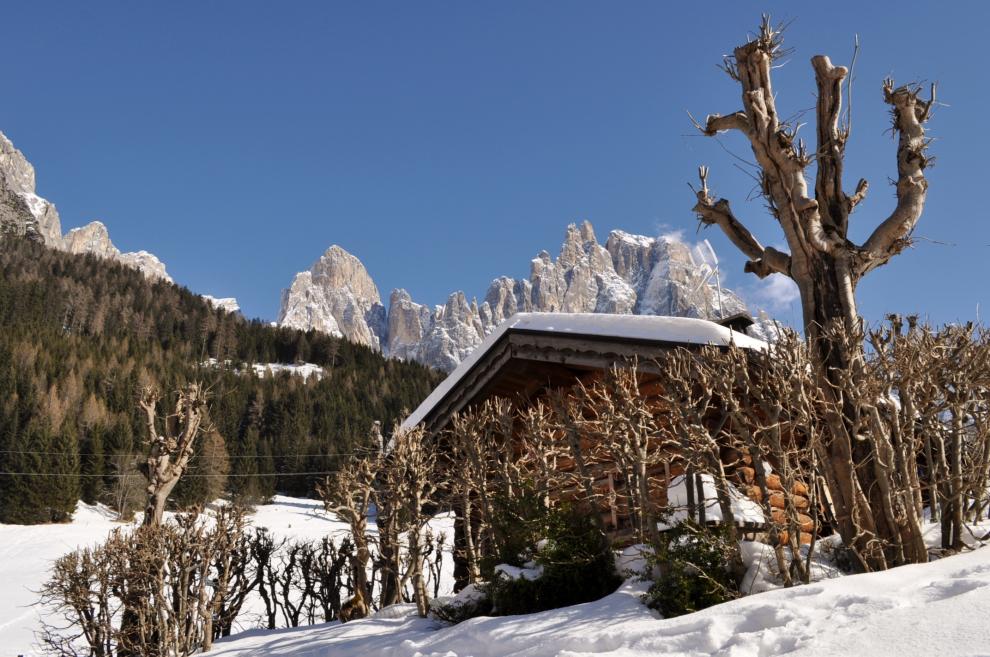 Magic day in San Martino di Castrozza - Dolomites