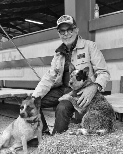 <br />
<b>Warning</b>:  Use of undefined constant titolo - assumed 'titolo' (this will throw an Error in a future version of PHP) in <b>/var/www/vhosts/casabottega.eu/httpdocs/scheda.php</b> on line <b>68</b><br />
SANI DIFFUSIONE